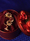 RUDRAKSHI LAVANYA NATH